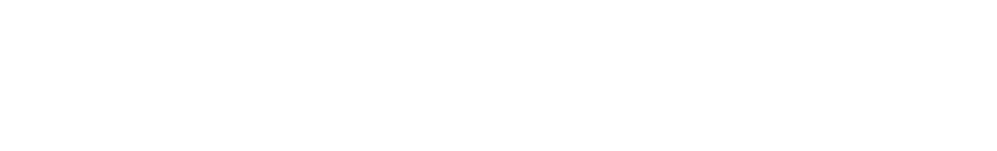 White Banner Logo